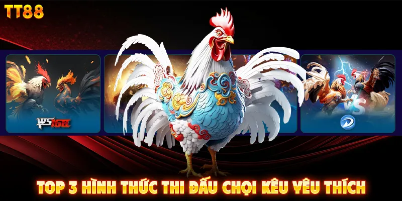 Top 3 hình thức thi đấu chọi kê yêu thích